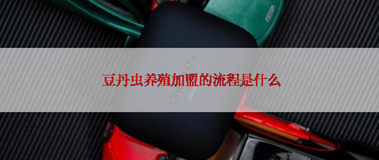  豆丹虫养殖加盟的流程是什么