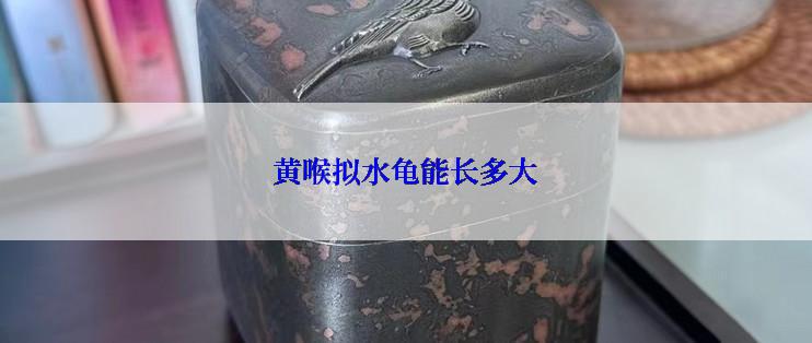 黄喉拟水龟能长多大