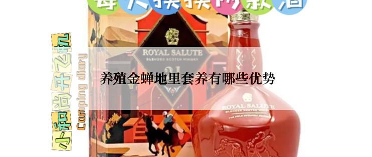  养殖金蝉地里套养有哪些优势