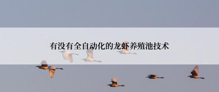 有没有全自动化的龙虾养殖池技术