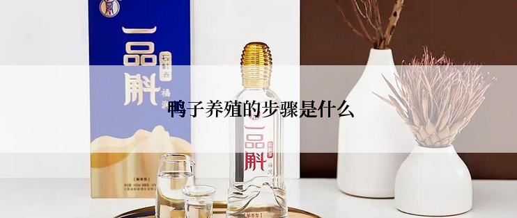  鸭子养殖的步骤是什么