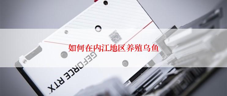 如何在内江地区养殖乌鱼
