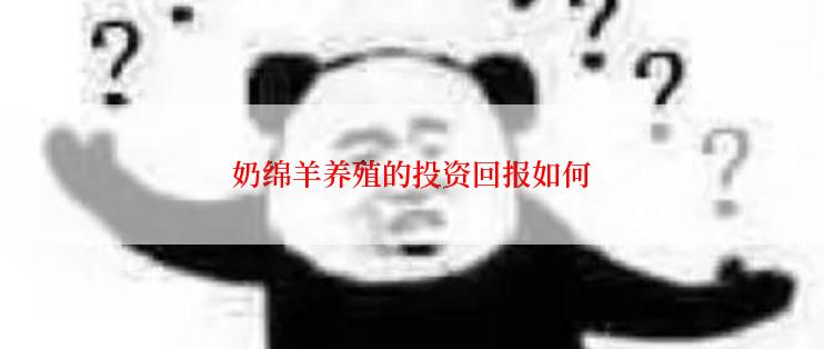 奶绵羊养殖的投资回报如何