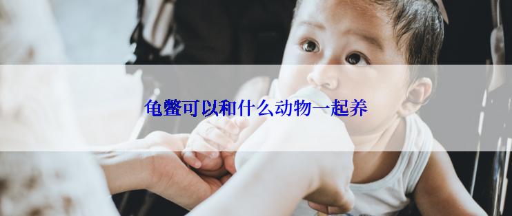 龟鳖可以和什么动物一起养