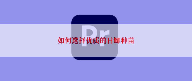 如何选择优质的日鲫种苗