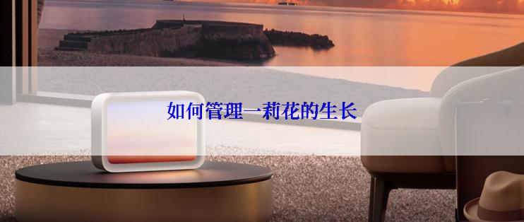 如何管理一莉花的生长
