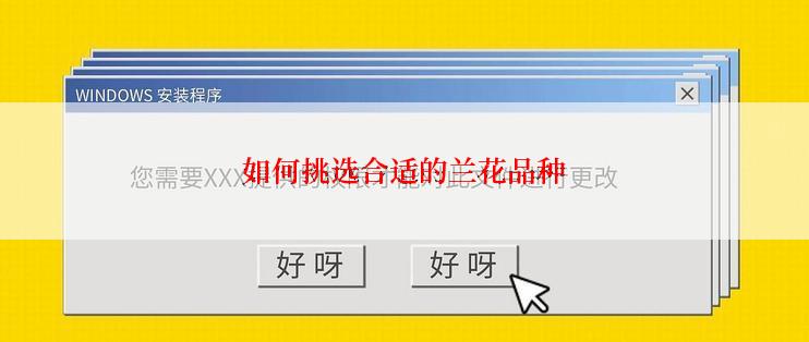 如何挑选合适的兰花品种