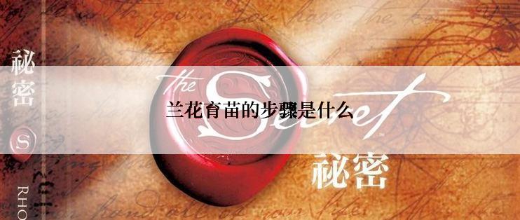 兰花育苗的步骤是什么