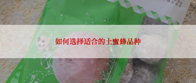 如何选择适合的土蜜蜂品种