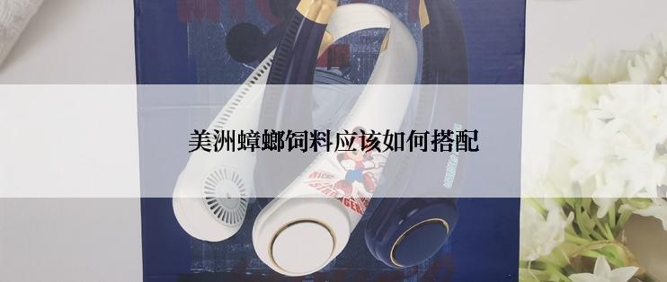 美洲蟑螂饲料应该如何搭配