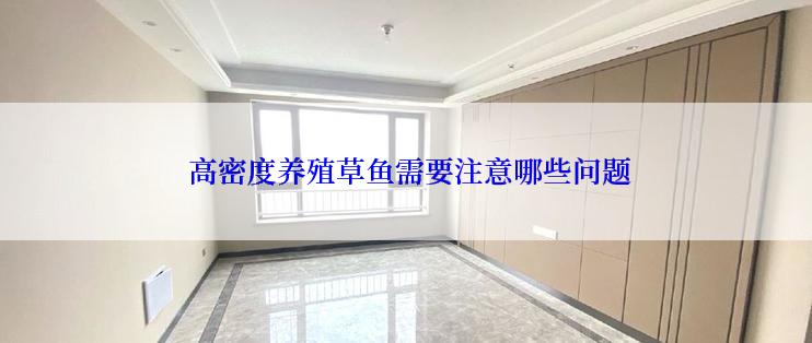  高密度养殖草鱼需要注意哪些问题