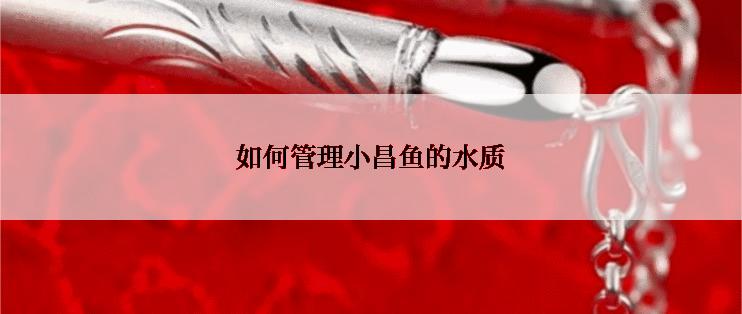 如何管理小昌鱼的水质