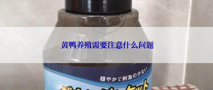  黄鸭养殖需要注意什么问题