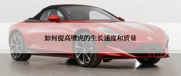 如何提高壁虎的生长速度和质量