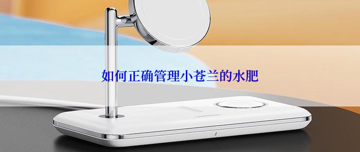 如何正确管理小苍兰的水肥