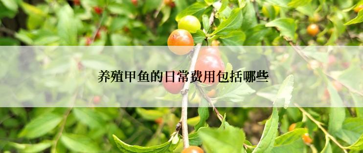  养殖甲鱼的日常费用包括哪些