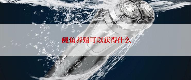  鲤鱼养殖可以获得什么
