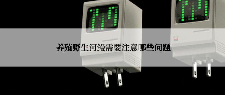  养殖野生河鳗需要注意哪些问题
