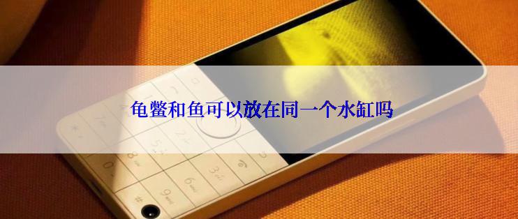  龟鳖和鱼可以放在同一个水缸吗