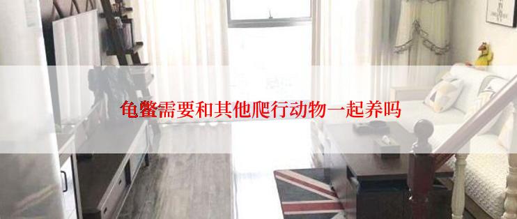  龟鳖需要和其他爬行动物一起养吗