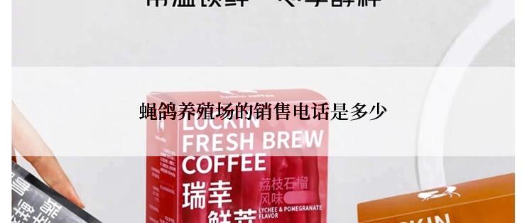 蝇鸽养殖场的销售电话是多少