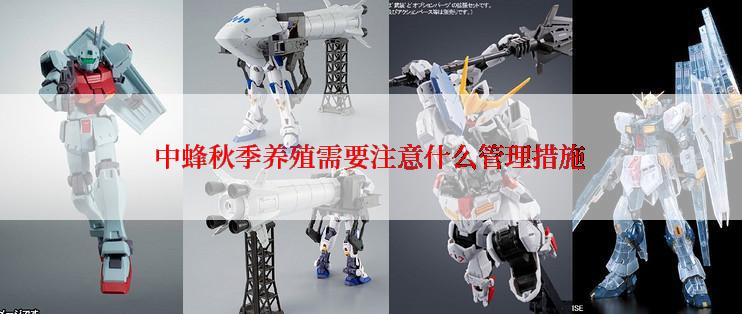 中蜂秋季养殖需要注意什么管理措施
