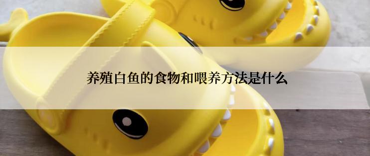  养殖白鱼的食物和喂养方法是什么