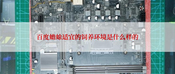 百度蟾蜍适宜的饲养环境是什么样的