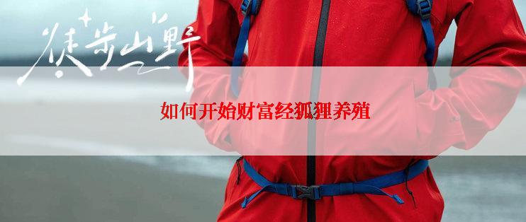  如何开始财富经狐狸养殖