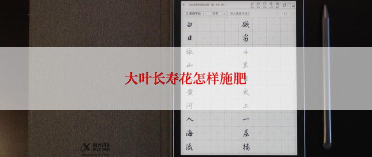 大叶长寿花怎样施肥
