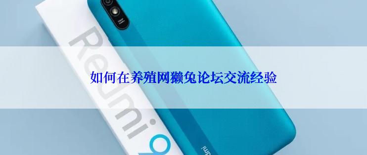 如何在养殖网獭兔论坛交流经验