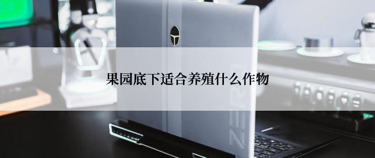 果园底下适合养殖什么作物