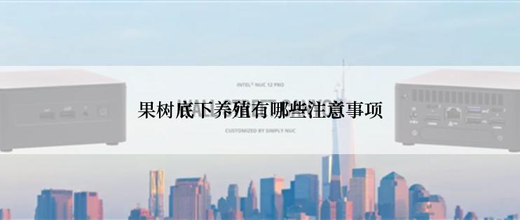 果树底下养殖有哪些注意事项