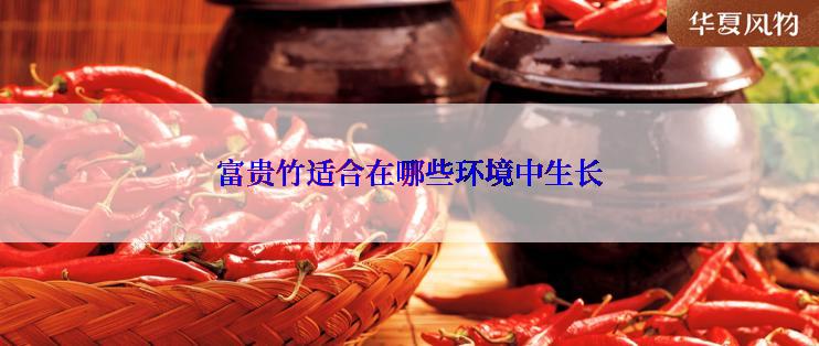 富贵竹适合在哪些环境中生长