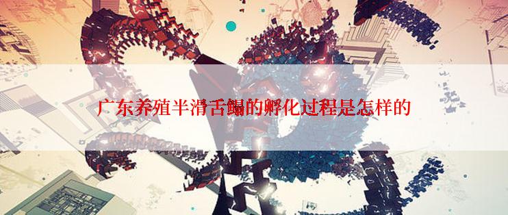 广东养殖半滑舌鳎的孵化过程是怎样的