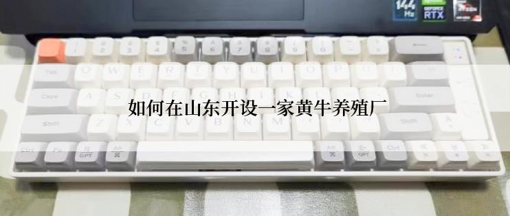  如何在山东开设一家黄牛养殖厂