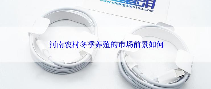  河南农村冬季养殖的市场前景如何