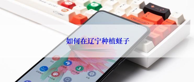  如何在辽宁种植蛏子
