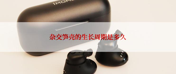 杂交笋壳的生长周期是多久