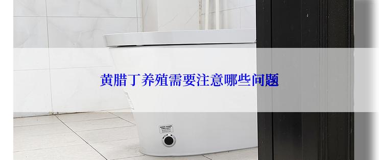 黄腊丁养殖需要注意哪些问题