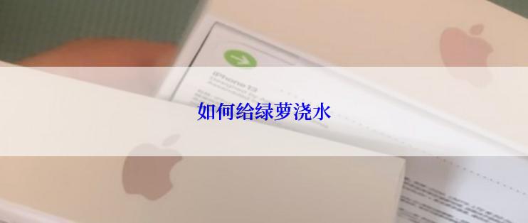 如何给绿萝浇水