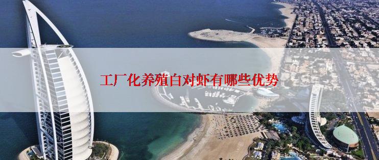 工厂化养殖白对虾有哪些优势