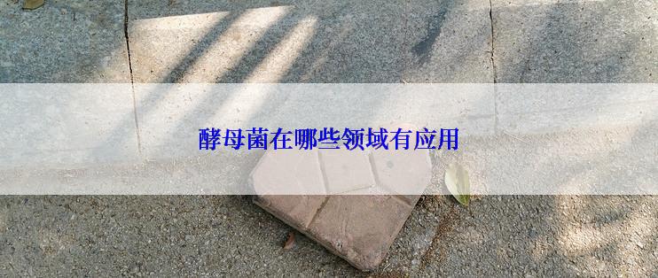 酵母菌在哪些领域有应用