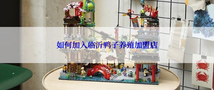 如何加入临沂鸭子养殖加盟店