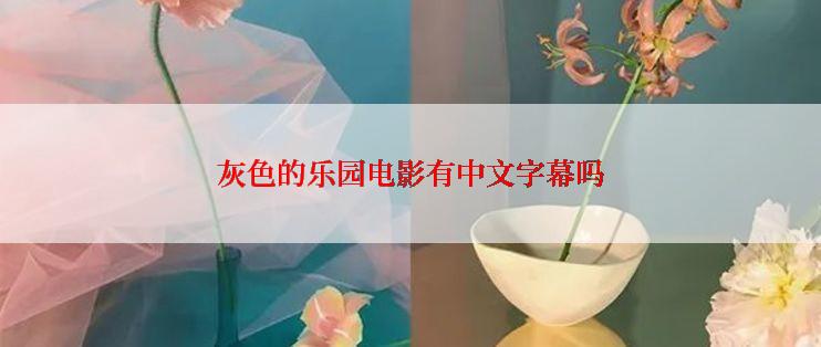灰色的乐园电影有中文字幕吗