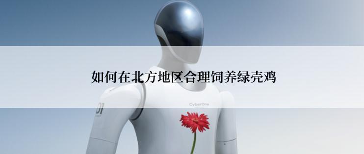  如何在北方地区合理饲养绿壳鸡
