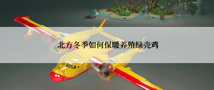  北方冬季如何保暖养殖绿壳鸡