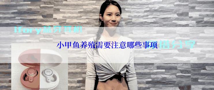 小甲鱼养殖需要注意哪些事项