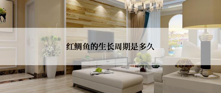 红鲷鱼的生长周期是多久