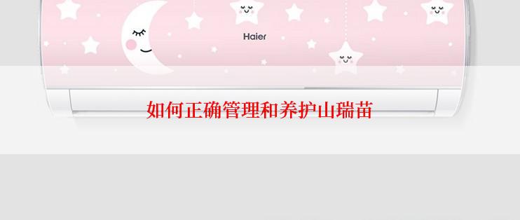 如何正确管理和养护山瑞苗
